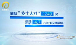 国产精品毛片久久久久久久,探寻中国影视艺术的独特魅力